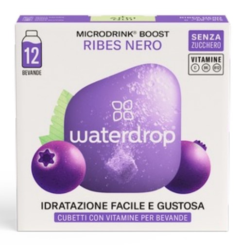 WATERDROP MICRODRINK RIBES NERO - BOOST